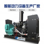 潍坊柴油发电机组